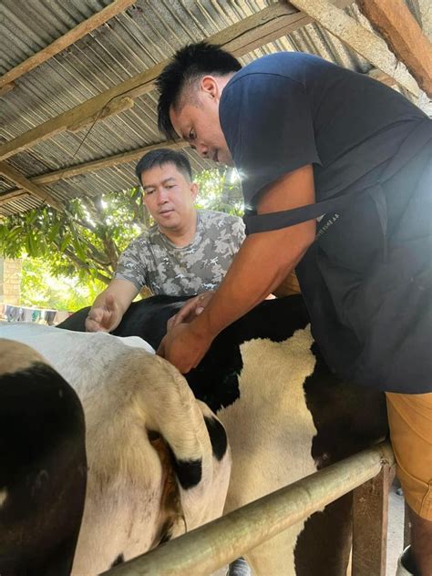 cebu milker video|Leyte Milker @CebuSouthMilker .